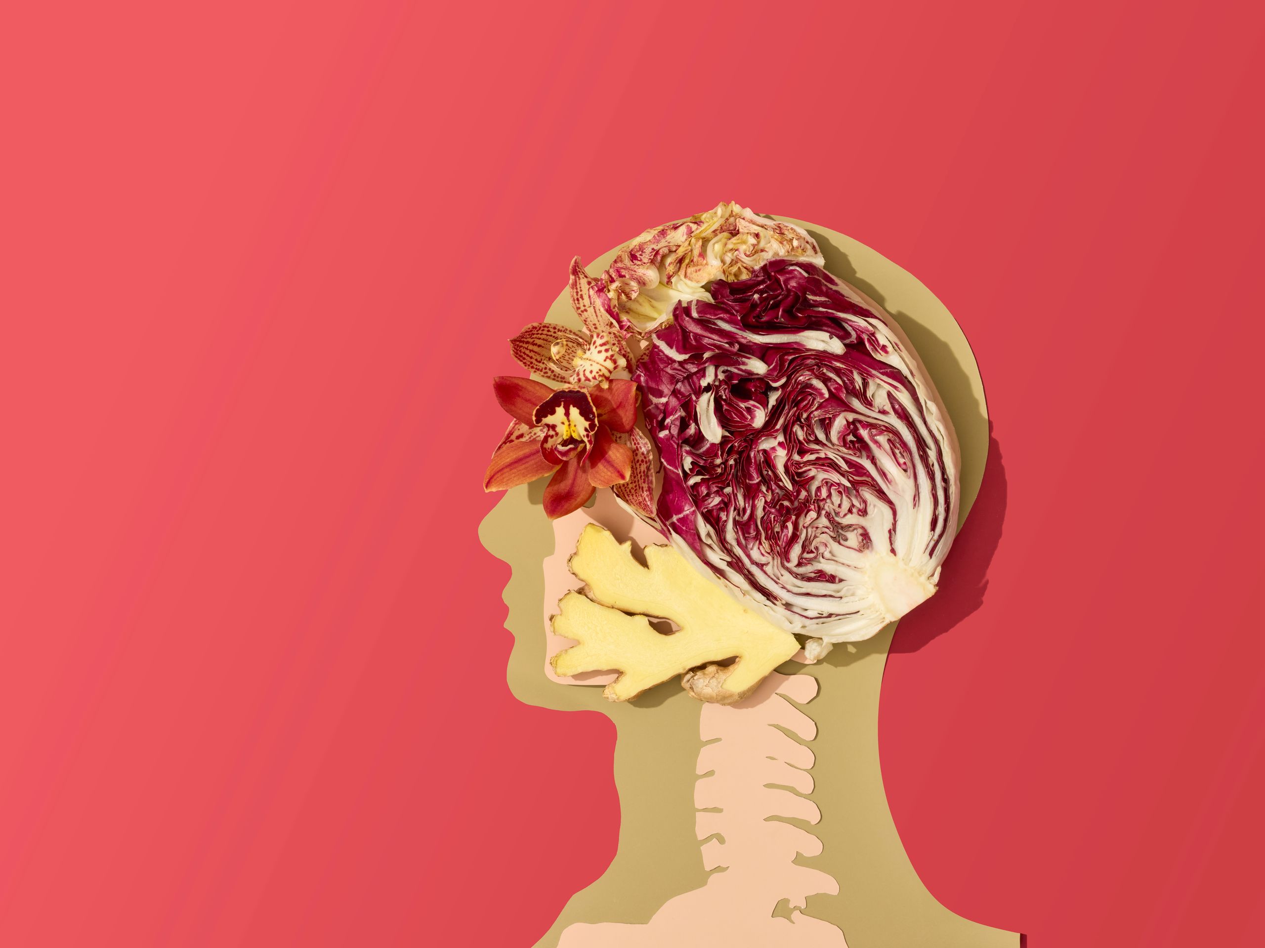 profile of the inside of a human head illustrated with cabbage